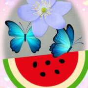 ヒメ日記 2025/08/09 05:24 投稿 松田しのぶ 五十路マダム 徳島店