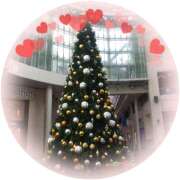 ヒメ日記 2025/11/29 14:44 投稿 松田しのぶ 五十路マダム 徳島店