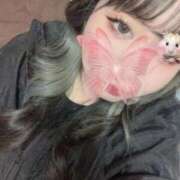 ヒメ日記 2025/05/14 14:50 投稿 こむぎ ドMバスターズ岡崎・安城・豊田店