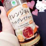 ヒメ日記 2025/04/12 18:11 投稿 桜井 上野CLUB A(クラブ エー)