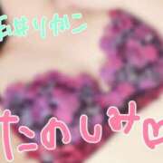 ヒメ日記 2025/04/14 09:30 投稿 玉井りかこ 三丁目の奥様（東京ハレ系）