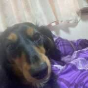 ヒメ日記 2025/06/10 22:49 投稿 つきよ ちゃんこ大阪伊丹空港豊中店