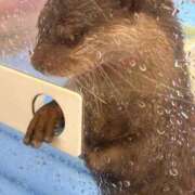 ヒメ日記 2025/09/23 10:09 投稿 れな ニューグランド