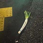 ヒメ日記 2025/09/25 10:43 投稿 れな ニューグランド