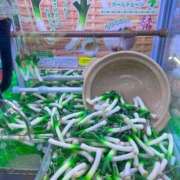 ヒメ日記 2025/12/22 20:16 投稿 れな ニューグランド