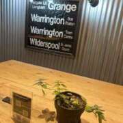 れな 元気です！ ニューグランド