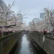 ヒメ日記 2026/04/01 20:33 投稿 れな ニューグランド