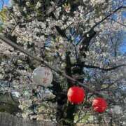 ヒメ日記 2026/04/05 12:03 投稿 れな ニューグランド