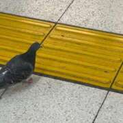 ヒメ日記 2026/04/21 15:48 投稿 れな ニューグランド