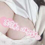 りく 三時のおやつ🍪☕️💕 新横浜ちゃんこ