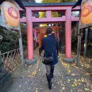 ヒメ日記 2025/11/29 15:11 投稿 ひめ 池袋人妻ヒットパレード（シンデレラグループ）