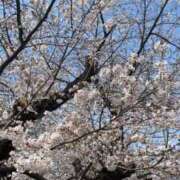 ヒメ日記 2026/03/30 22:45 投稿 あさひ 素人系イメージSOAP彼女感大宮館