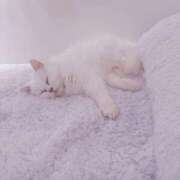 ヒメ日記 2025/04/15 16:59 投稿 ♦紫乃♦(シノ) 翡翠の夢