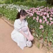 ヒメ日記 2025/04/29 13:15 投稿 ♦紫乃♦(シノ) 翡翠の夢