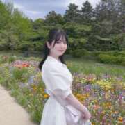 ヒメ日記 2025/05/01 11:55 投稿 ♦紫乃♦(シノ) 翡翠の夢