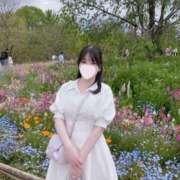 ヒメ日記 2025/05/09 16:25 投稿 ♦紫乃♦(シノ) 翡翠の夢