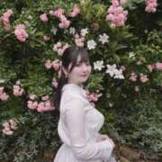 ヒメ日記 2025/06/01 10:26 投稿 ♦紫乃♦(シノ) 翡翠の夢