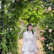 ヒメ日記 2025/06/04 03:55 投稿 ♦紫乃♦(シノ) 翡翠の夢