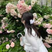 ヒメ日記 2025/06/04 04:15 投稿 ♦紫乃♦(シノ) 翡翠の夢