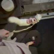 ヒメ日記 2025/09/24 19:35 投稿 ♦紫乃♦(シノ) 翡翠の夢