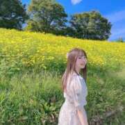 ヒメ日記 2025/09/26 20:05 投稿 ♦紫乃♦(シノ) 翡翠の夢