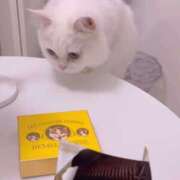 ヒメ日記 2025/09/26 21:15 投稿 ♦紫乃♦(シノ) 翡翠の夢