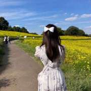 ヒメ日記 2025/09/27 19:05 投稿 ♦紫乃♦(シノ) 翡翠の夢