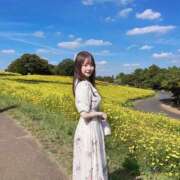 ヒメ日記 2025/09/29 11:25 投稿 ♦紫乃♦(シノ) 翡翠の夢