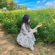 ヒメ日記 2025/10/02 13:05 投稿 ♦紫乃♦(シノ) 翡翠の夢