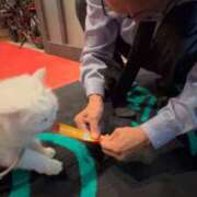 ヒメ日記 2025/10/08 06:45 投稿 ♦紫乃♦(シノ) 翡翠の夢