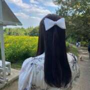 ヒメ日記 2025/10/11 06:35 投稿 ♦紫乃♦(シノ) 翡翠の夢