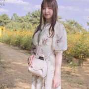 ヒメ日記 2025/10/15 11:55 投稿 ♦紫乃♦(シノ) 翡翠の夢