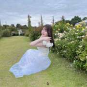 ヒメ日記 2025/10/27 17:45 投稿 ♦紫乃♦(シノ) 翡翠の夢