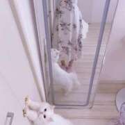 ヒメ日記 2025/11/05 12:45 投稿 ♦紫乃♦(シノ) 翡翠の夢