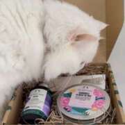 ヒメ日記 2025/11/26 17:55 投稿 ♦紫乃♦(シノ) 翡翠の夢