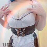 ヒメ日記 2025/12/19 13:26 投稿 うみ ごほうびSPA千葉店