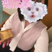 ヒメ日記 2025/04/20 16:39 投稿 しずね 兵庫姫路・加古川ちゃんこ