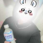 ヒメ日記 2025/04/23 02:15 投稿 しずね 兵庫姫路・加古川ちゃんこ