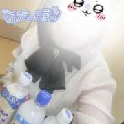 ヒメ日記 2025/04/26 04:55 投稿 しずね 兵庫姫路・加古川ちゃんこ