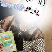 ヒメ日記 2025/04/30 18:34 投稿 しずね 兵庫姫路・加古川ちゃんこ