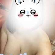 ヒメ日記 2025/05/26 20:40 投稿 しずね 兵庫姫路・加古川ちゃんこ