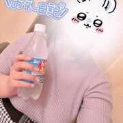 ヒメ日記 2025/05/27 23:15 投稿 しずね 兵庫姫路・加古川ちゃんこ