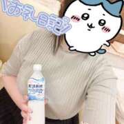 ヒメ日記 2025/05/28 20:52 投稿 しずね 兵庫姫路・加古川ちゃんこ