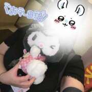 ヒメ日記 2025/06/10 02:16 投稿 しずね 兵庫姫路・加古川ちゃんこ