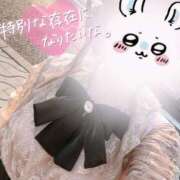 ヒメ日記 2025/06/19 18:34 投稿 しずね 兵庫姫路・加古川ちゃんこ