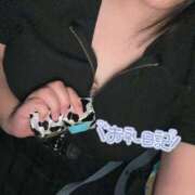 ヒメ日記 2025/07/10 02:58 投稿 しずね 兵庫姫路・加古川ちゃんこ