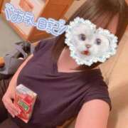 ヒメ日記 2025/08/12 20:21 投稿 しずね 兵庫姫路・加古川ちゃんこ