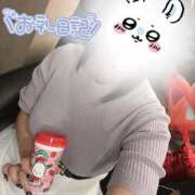 ヒメ日記 2025/08/31 22:44 投稿 しずね 兵庫姫路・加古川ちゃんこ