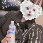 ヒメ日記 2025/10/12 19:21 投稿 しずね 兵庫姫路・加古川ちゃんこ