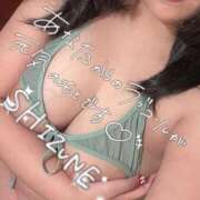 ヒメ日記 2025/10/24 12:15 投稿 しずね 兵庫姫路・加古川ちゃんこ